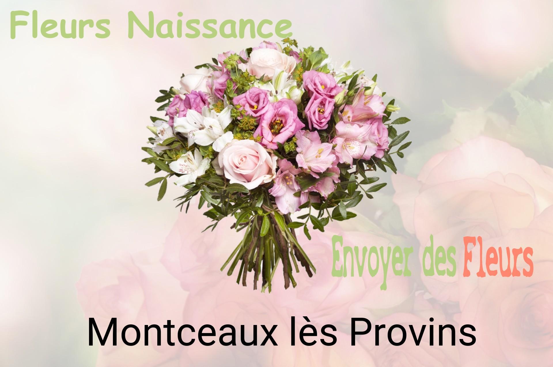 Bouquet de fleurs de naissance livré à Montceaux-lès-Provins