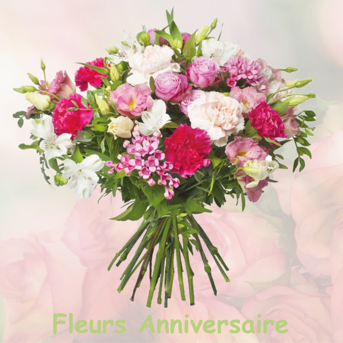 fleurs anniversaire MONTCEAUX-LES-PROVINS